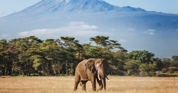 British Airways announces new Tanzania routes and network update for summer 2027