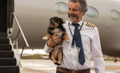 Vicuna Air Expands U.S. In-Cabin Pet Travel Network with New Routes