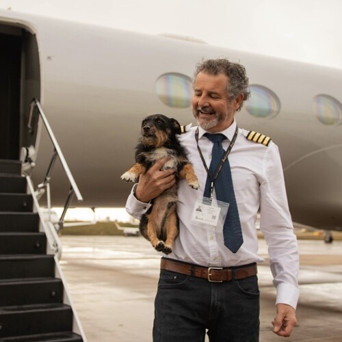 Vicuna Air Expands U.S. In-Cabin Pet Travel Network with New Routes