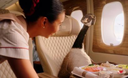Emirates adds another feather in its cap with Gerry the Goose ‘Fly Better’ campaign