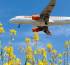 Low-cost carriers cut prices on European routes to woo customers