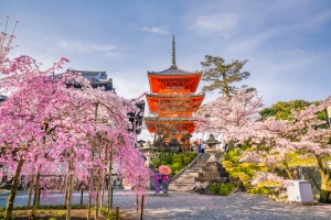 Qantas and Jetstar celebrate the reopening of Japan for international travellers