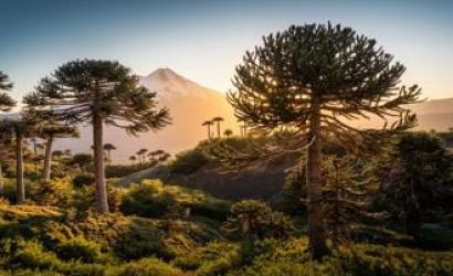 IATA Wings of Change Americas Conference to Be Hosted in Santiago de Chile