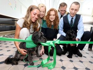 Pet Travel just got Upgraded