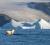 Aurora Expeditions Delivers Record 2025/26 Antarctic Season