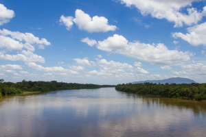 From Jungle to Journey: Why the Amazon River Is the Next Big Cruise Destination