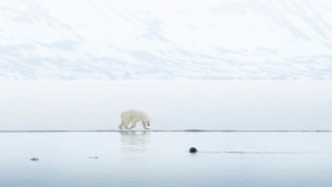Last Call for the Arctic 2025 Season: Secret Atlas Expedition Micro Cruises for Peak August & Sept