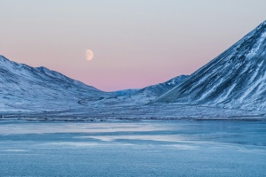 Arctic Cruises See Rising Demand Among Affluent Travelers: Key Factors Behind the Shift