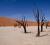 BTN investigates: Wilderness’ Little Kulala in Namibia