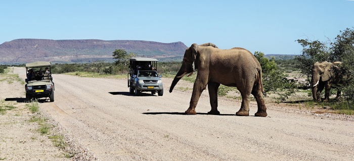 Breaking Travel News explores: Malansrus, a tented sanctuary where the elephants roam
