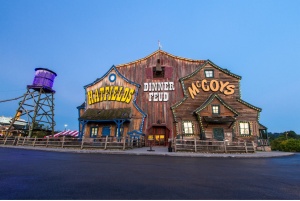 Why Live Entertainment Feels Different Than Screens