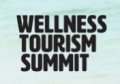 Wellness Tourism Summit 2020