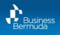 Bermuda Financial Services Conference 2011