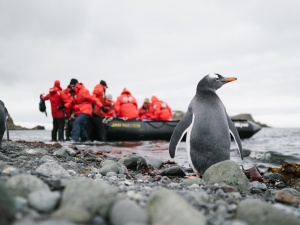 Poseidon Expeditions partners with Oceanites to assess changing environmental impact on penguins