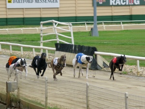 The most iconic greyhound tracks in the UK