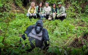 Tips to plan a gorilla trek easily – post covid 19