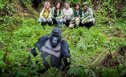 Tips to plan a gorilla trek easily – post covid 19