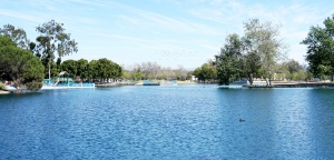 The top 4 parks in Santa Ana that you have to visit