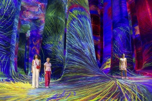 Destination Spotlight: teamLab Phenomena Abu Dhabi Redefines Cultural Immersion
