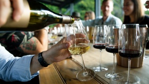 10 Tips for enjoying a wine tasting tour