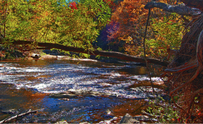 Top Things to Do When Visiting North Carolina