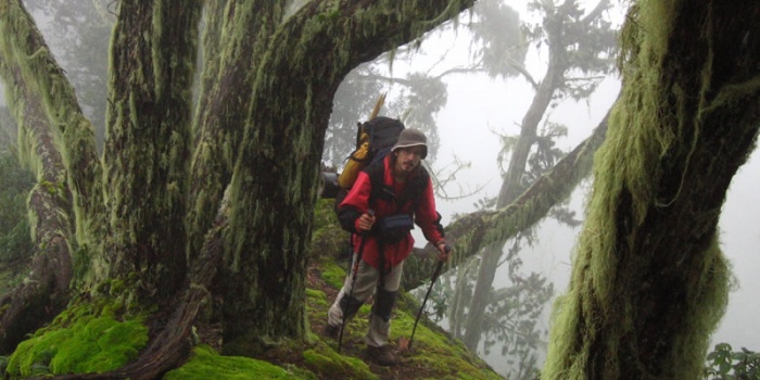 You want to climb the Rwenzori Mountains? - Vimarsana News