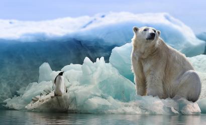 10 Mind-Blowing Wildlife Destinations In Europe For A Bespoke Holiday