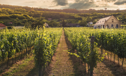 Santa Clarita’s Best Brunches and Vineyards for Weekend Indulgence