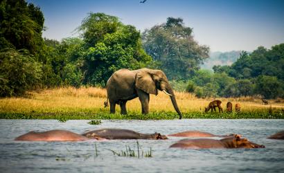5 Best Uganda national parks to visit this summer