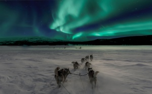 Festive Traditions: 7 Cultural Christmas Escapades to Immerse Yourself In