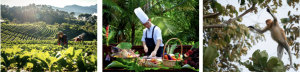 Enriched Escapes with YTL Hotels’ ‘Skillcations’ Across Malaysia