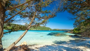 2024 Season News from 7Pines Resort Sardinia