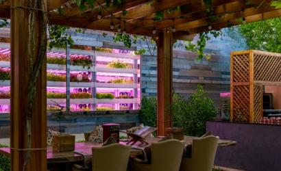 Jumeirah Zabeel Saray Introduces Arcadia by Amala: A Culinary Journey