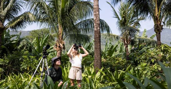 DISCOVERING VIETNAM FROM CULTURE TO COAST