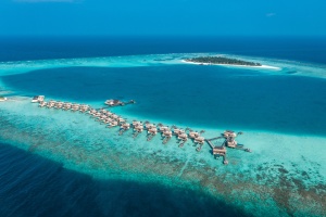 Embark on a Culinary Voyage at Angsana Velavaru