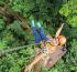 Anantara Layan Phuket Adds New Zipline Experience