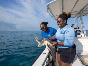 ATLANTIS PARADISE ISLAND, THE BAHAMAS COMMEMORATES WORLD OCEAN MONTH