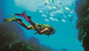 Beaches Resorts makes play for Caribbean diving holidays