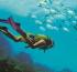 Beaches Resorts makes play for Caribbean diving holidays