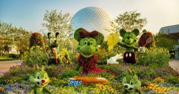 Disney Springs® Resort Area Hotels Extend Special Spring Rate Starting At $92