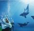 Aquaventure Waterpark welcomes new dolphin experiences