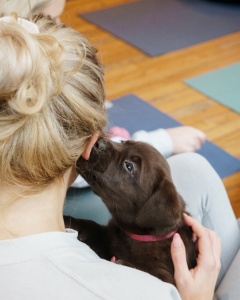 Four Seasons Hotel London at Park Lane launches PupsYoga package with furry friends