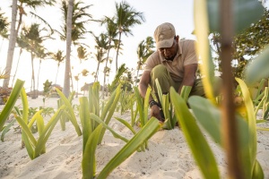 Iberostar Group wins ‘World’s Leading Marine & Biodiversity Conservation Programme’