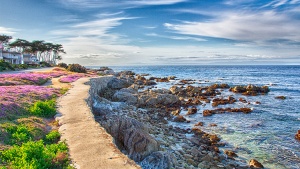 Kimpton Hotels & Restaurants to Bring to California  New Boutique Hotel