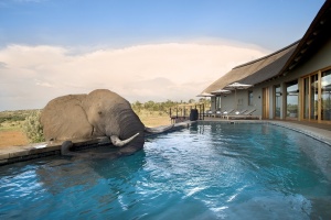 Travel Promoters Appointed UK & Europe Representatives for Mhondoro Safari Lodge & Villa