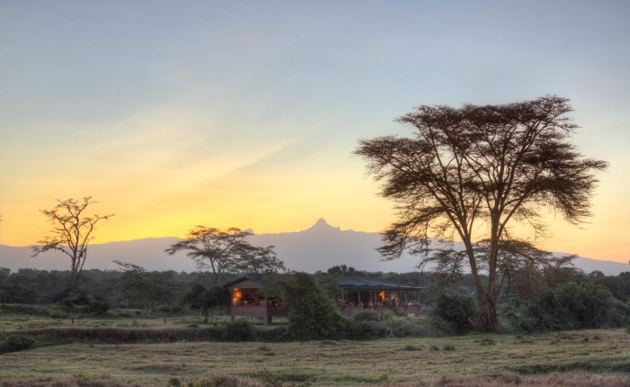 World of Hyatt Members Can Now Book Authentic Luxury Safaris with Asilia Africa