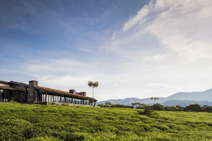 One&Only Nyungwe House to open in Rwanda in October