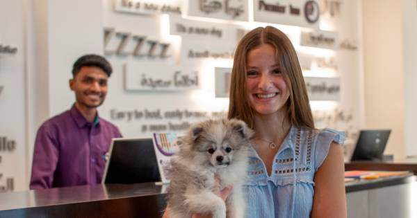 Premier Inn introduces Dog-Friendly Stays in Dubai