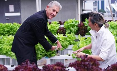 Kuala Lumpur Convention Centre Serves Healthy Vegetable Grown on its Rooftop