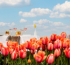 Experience Amsterdam in Full Bloom with Anantara Grand Hotel Krasnapolsky Amsterdam